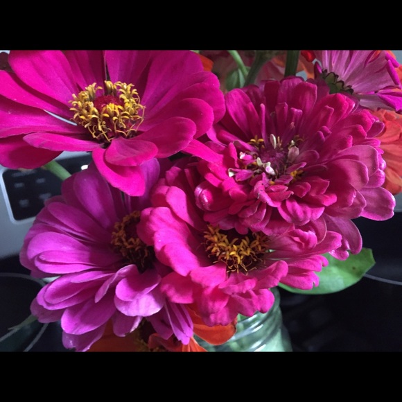 Meet your Posher, Lisa - Picture 7 of 8